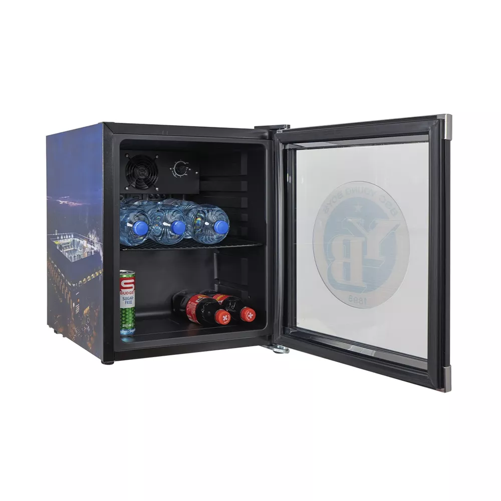 Kibernetik BSC Young Boys FAN Getränkekühlschrank 48 Liter