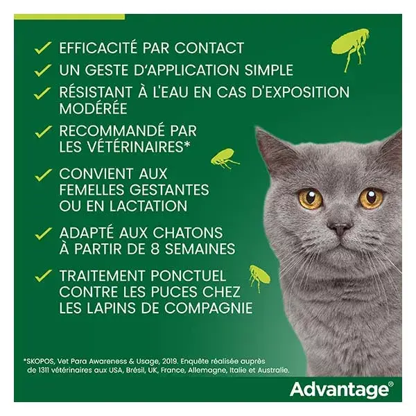 Advantage Solution Antipuce Chat Lapin 1 à 4kg 6 pipettes