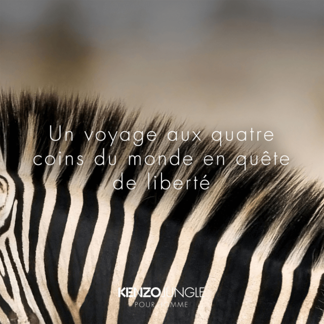 Kenzo Jungle Eau de Toilette Homme