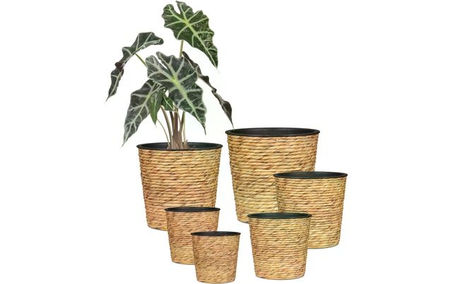 Scheurich Blumentopf »scheurich«