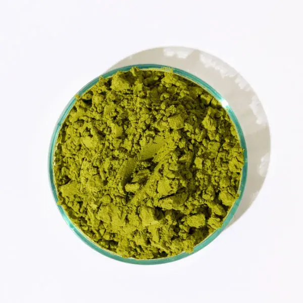 Epycure Poudre Drainante- Pomme/Kiwi - Cure 30 jours