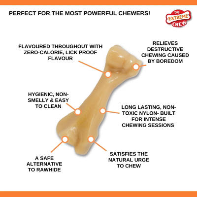 Nylabone hondenspeelgoed Power Chew Voor Harde Bijters Kip > 23 kg