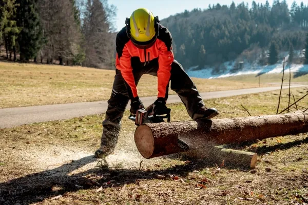 Metabo MS 36-18 LTX BL 40 - Kædesav - ledningfri - 18 V - intet batteri, ingen oplader - 40 cm - Skærekapacitet 360 mm - 3.2 kg - SOLO