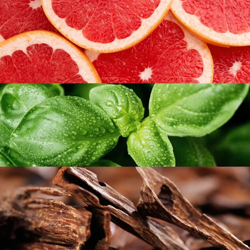 Lacoste - Booster Eau de toilette- Eau de toilette