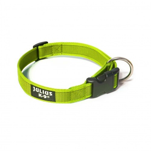 Coleira para cães Julius K9 em cores neon