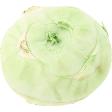 Jumbo Koolrabi