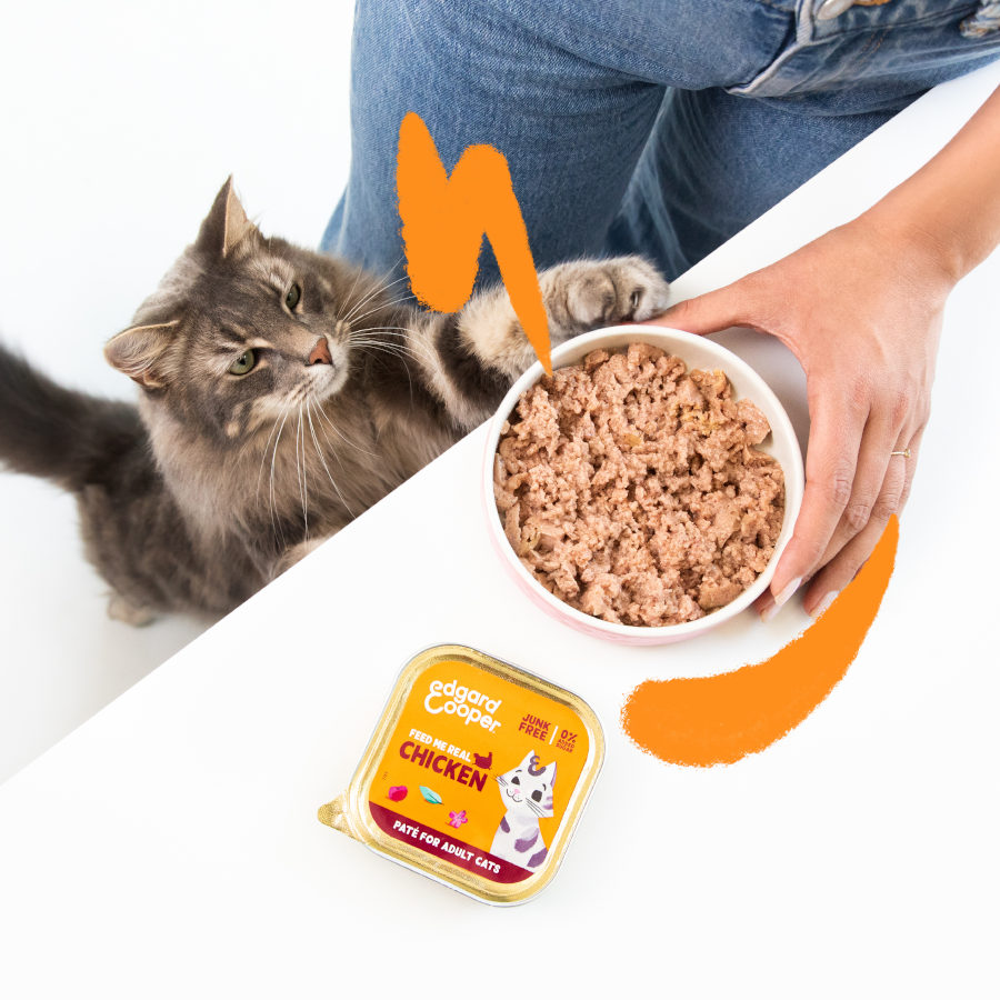 Edgard & Cooper Frango Adulto em Patê para Gatos