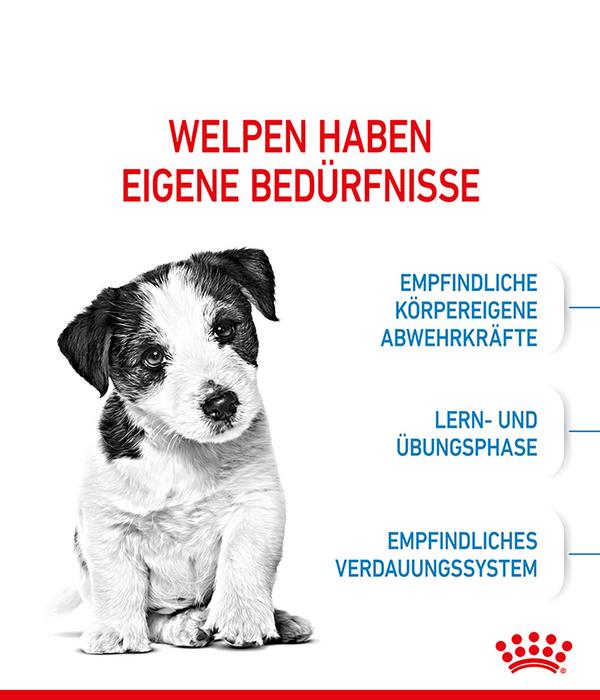 ROYAL CANIN® Trockenfutter für Hunde Mini