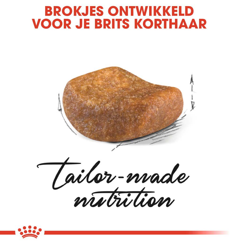 Royal Canin Britse Korthaar Adult - Kattenvoer - 4 Kilogram - Gevogelte