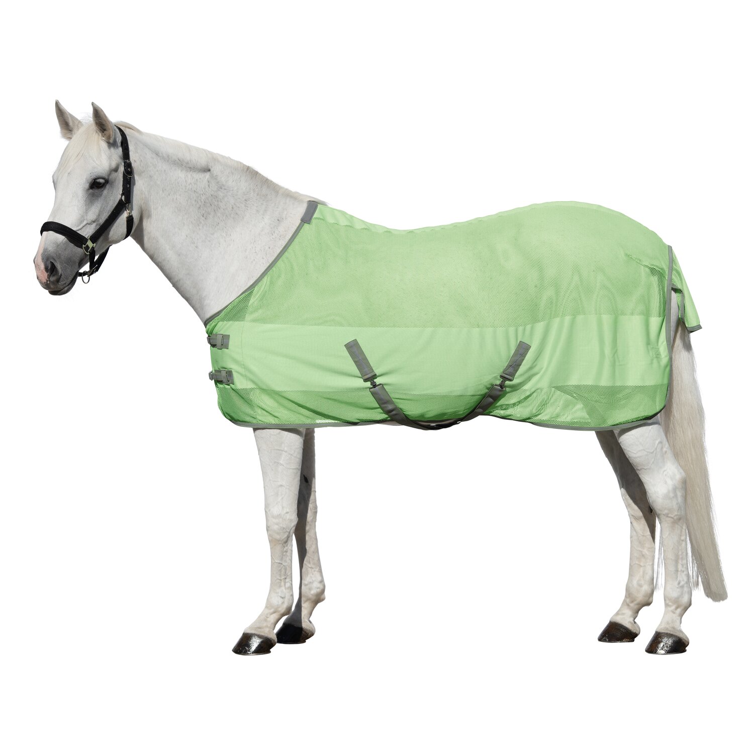 Horse-friends Fliegendecke Sintra  - lightgreen