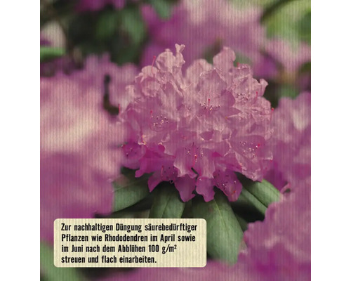 FloraSelf Nature BIORGA organische meststof voor veenbedden, 1,5 kg