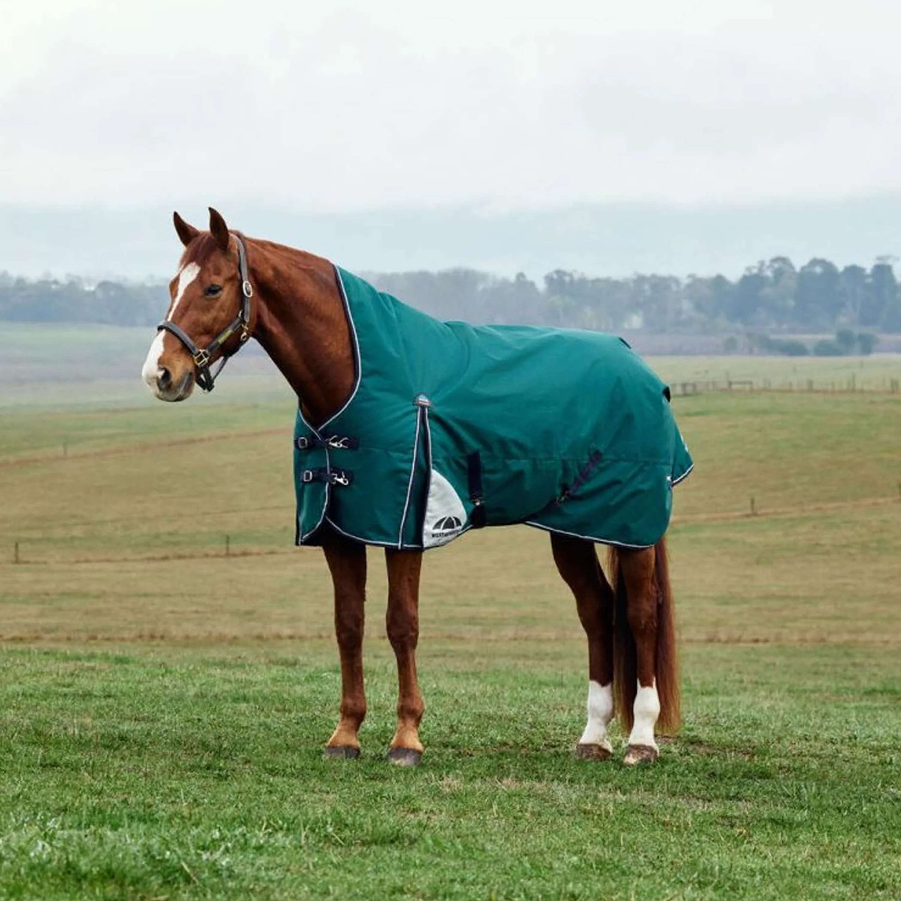 WeatherBeeta ComFiTec Plus Dynamic Turnout High Neck 100g Forest Green