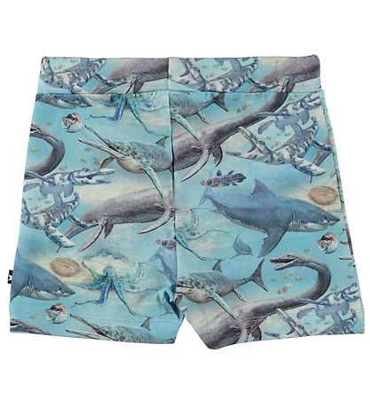 Molo Shorts - Simroy - Uralt Ocean