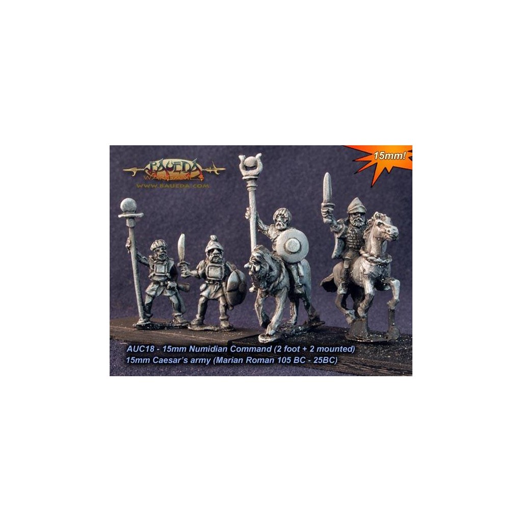 Numidian command (2 foot + 2 mounted)