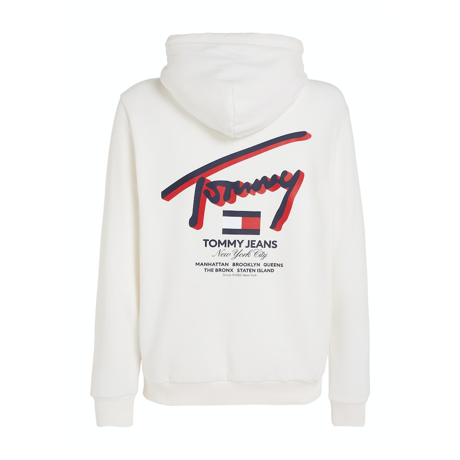 Tommy Jeans TJM REG 3D STREET TJ HOOD EXT