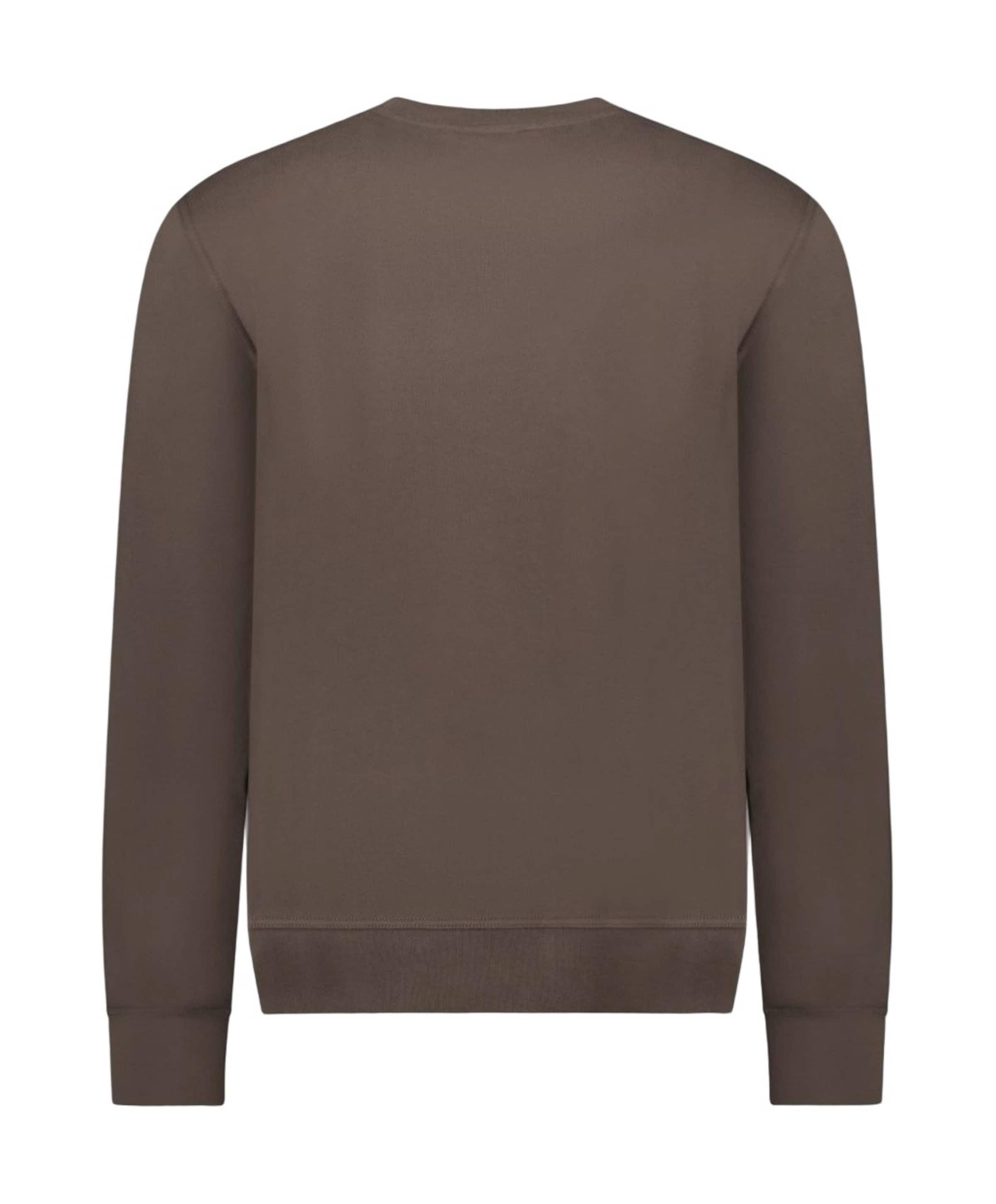Airforce Heren sweater bruin