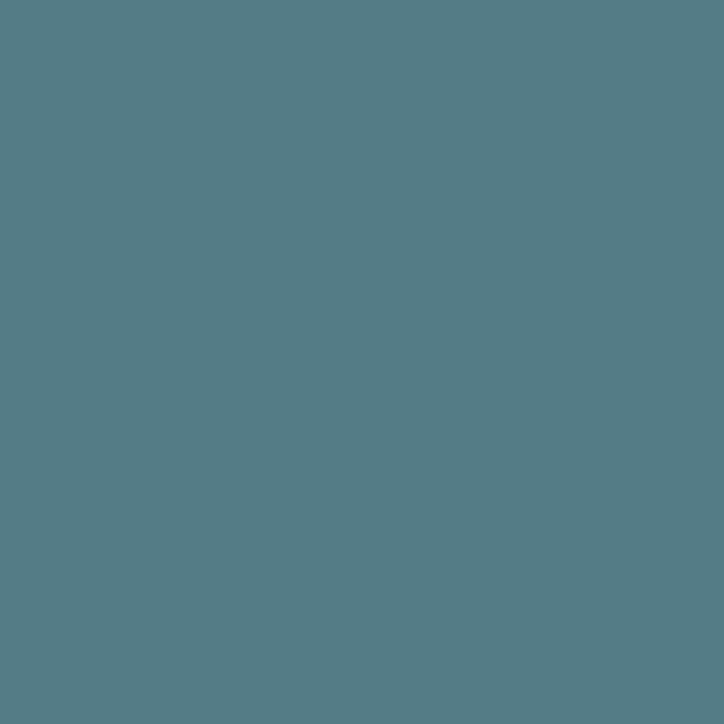 Peinture extérieure Ecran+ bois Dulux Valentine satin bleu tempête 500 ml