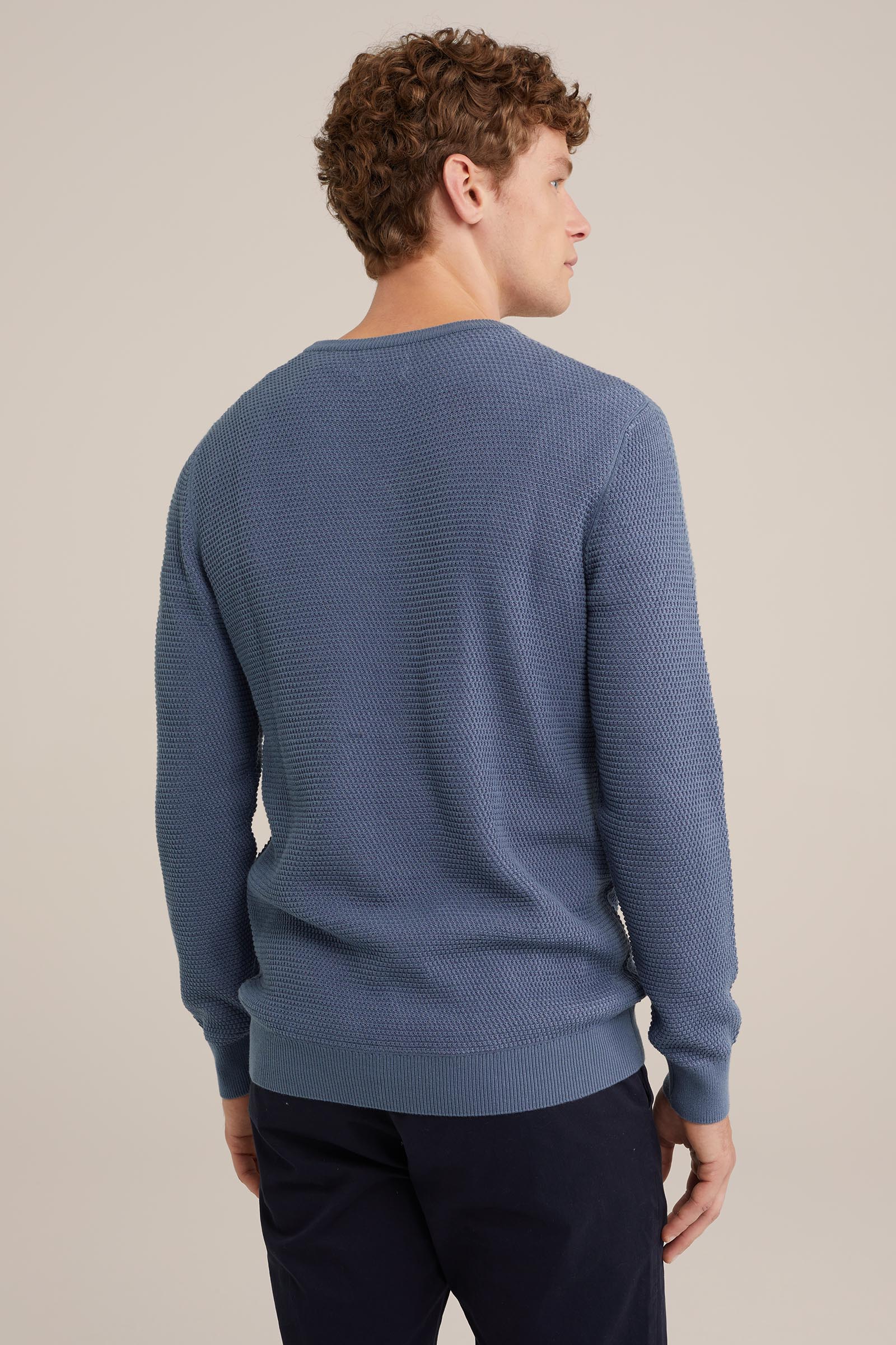 trui met structuur WE Fashion Blauw
