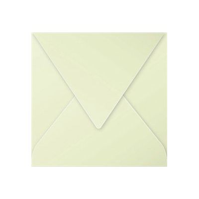 Pollen - 20 Enveloppes - 165 x 165 mm - 120 g/m² - vert bourgeon