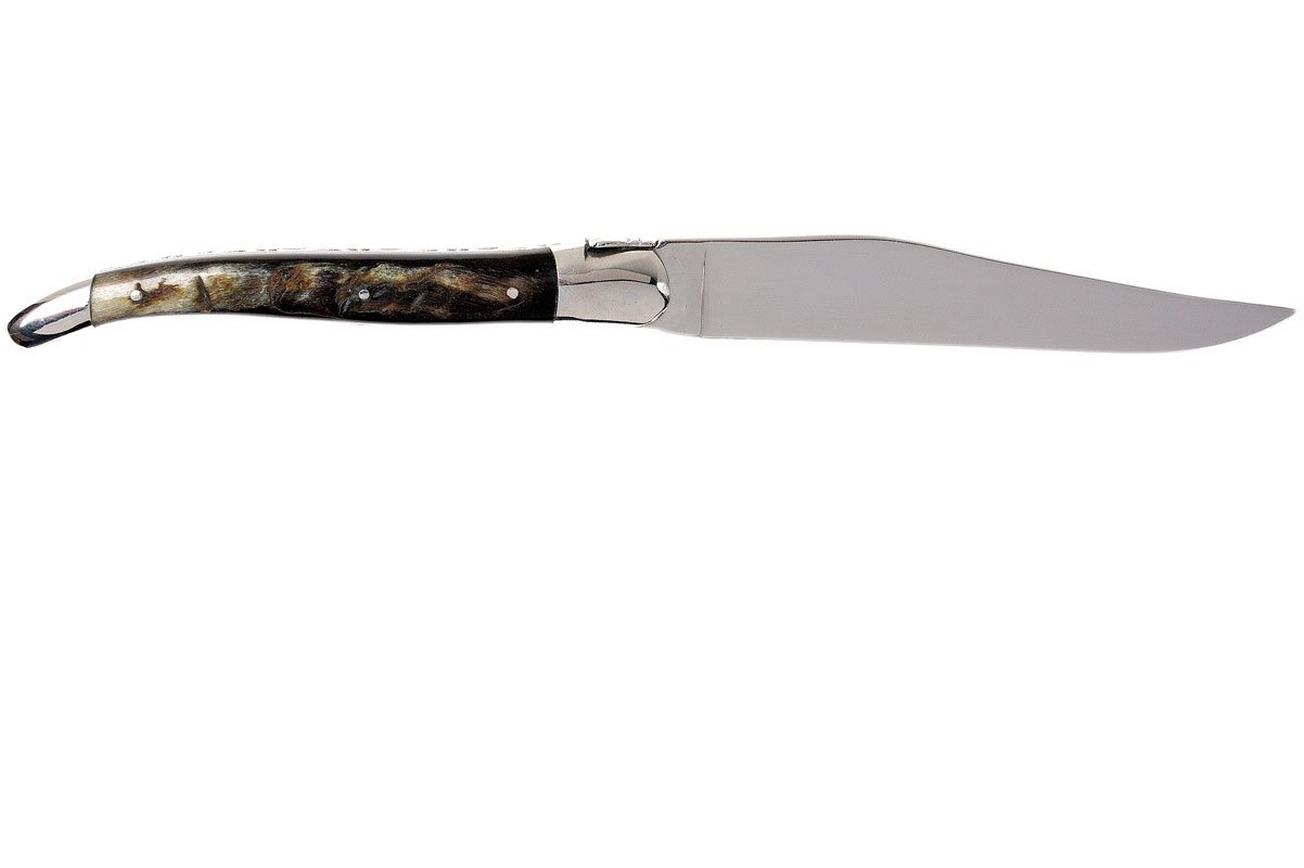Laguiole en Aubrac steakmessenset 6-delig gemengd hoorn, 62C99CKI