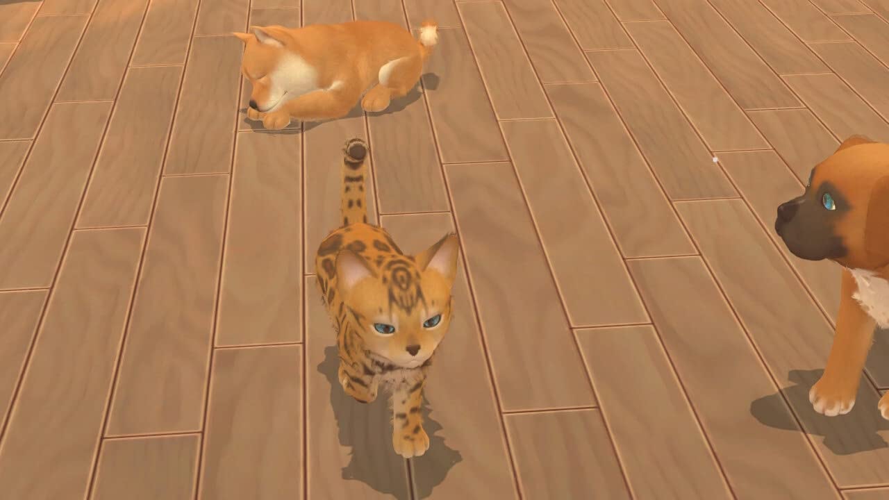 Astragon Spielesoftware »My Universe - Hunde- und Katzenbabys« Nintendo Switch