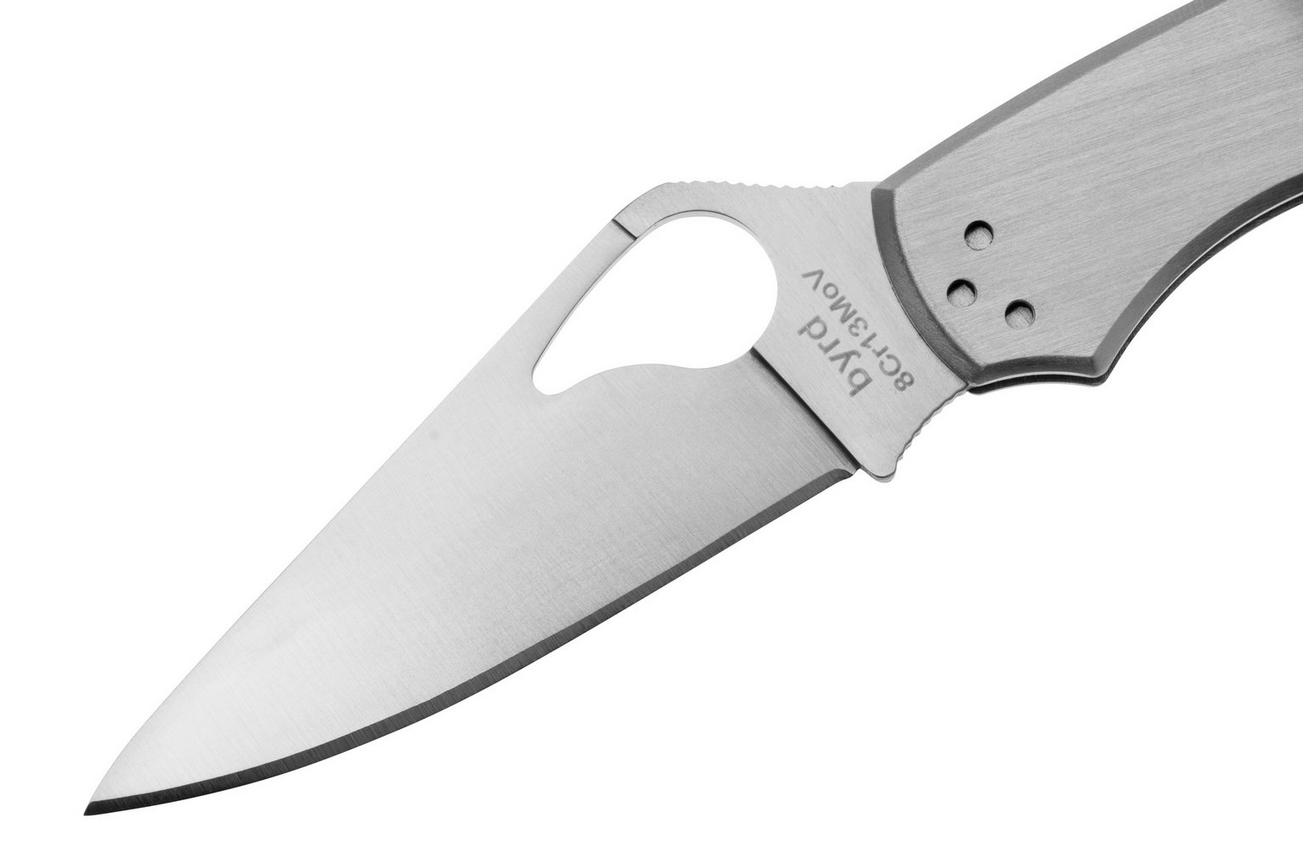 Spyderco Byrd Meadowlark 2 Stainless Steel BY04P2 zakmes