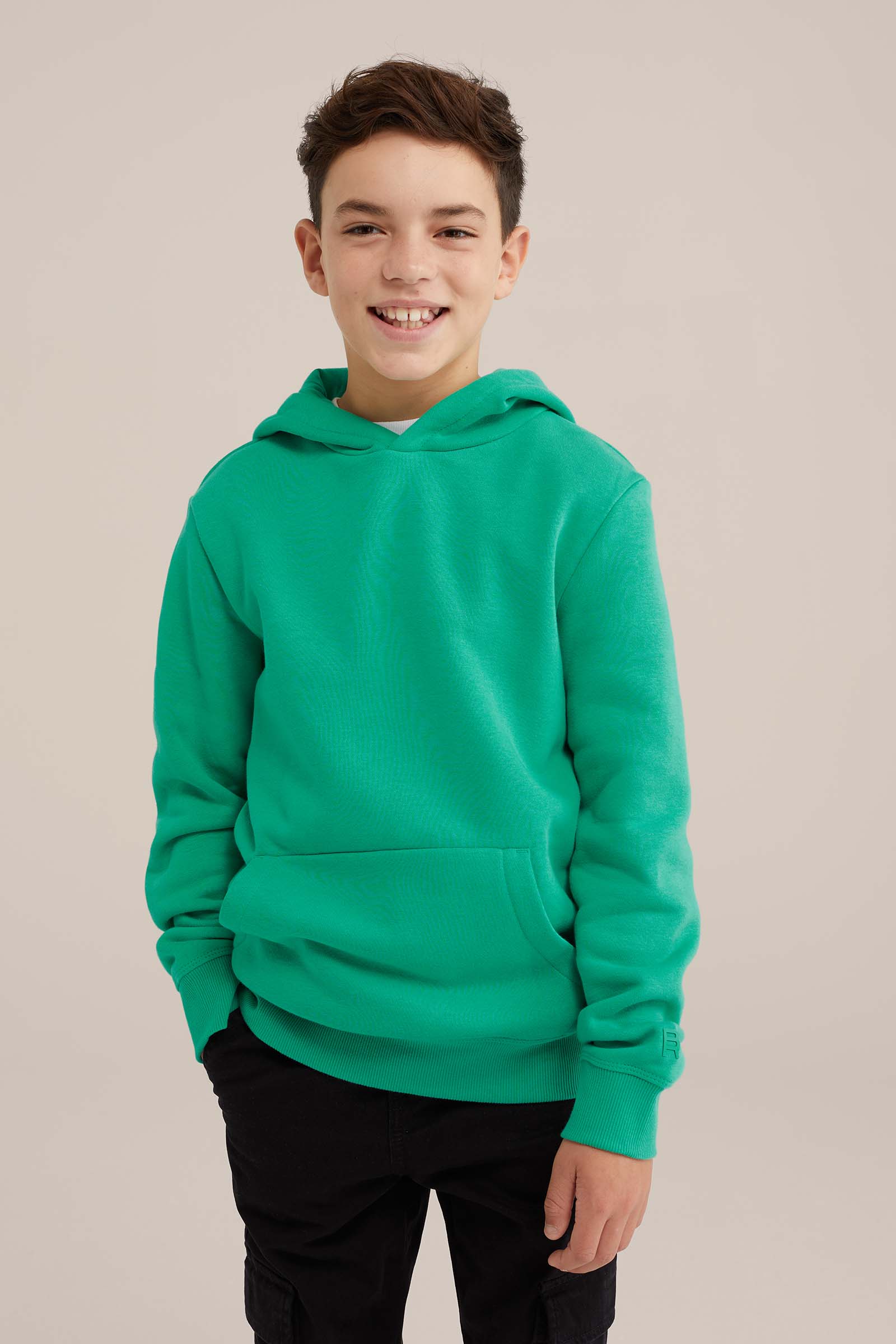 Unisex hoodie Blue Ridge Lichtgroen