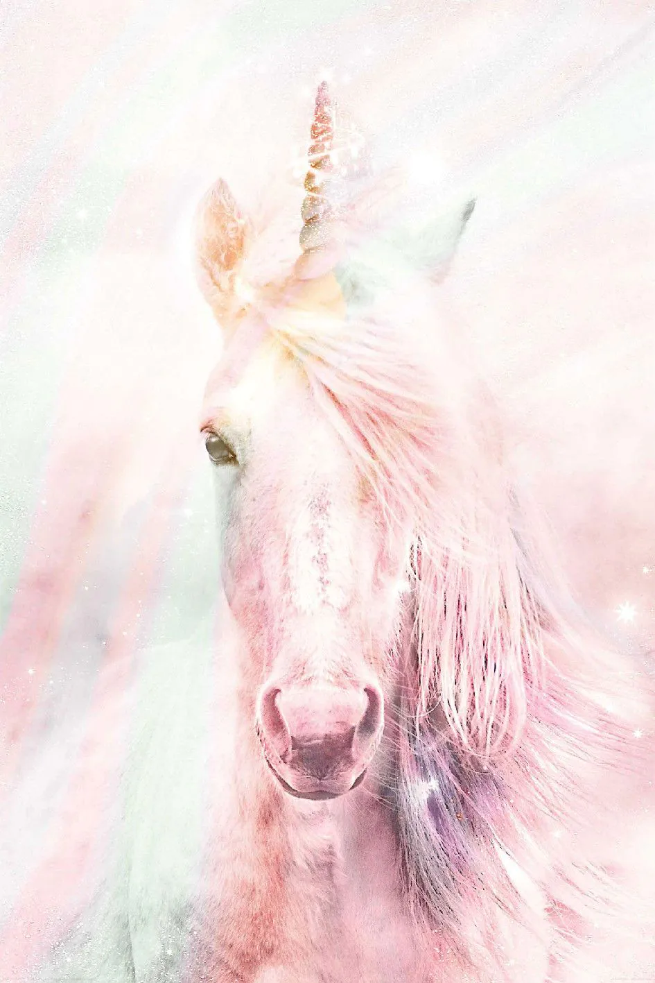Poster Unicorn Fluffy, 61 x 91 cm