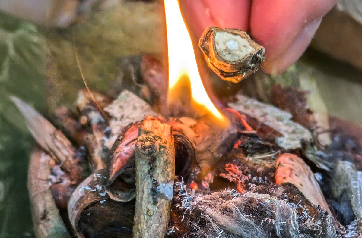 Survival Camp Hamm - mydays