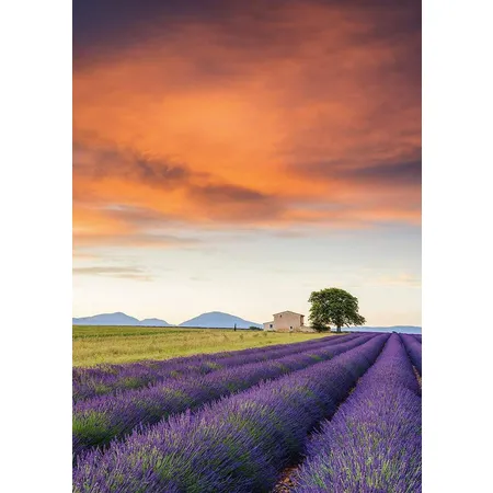 Schmidt Spiele Puzzle - Lavendelfeld-Provence, 500 Teile