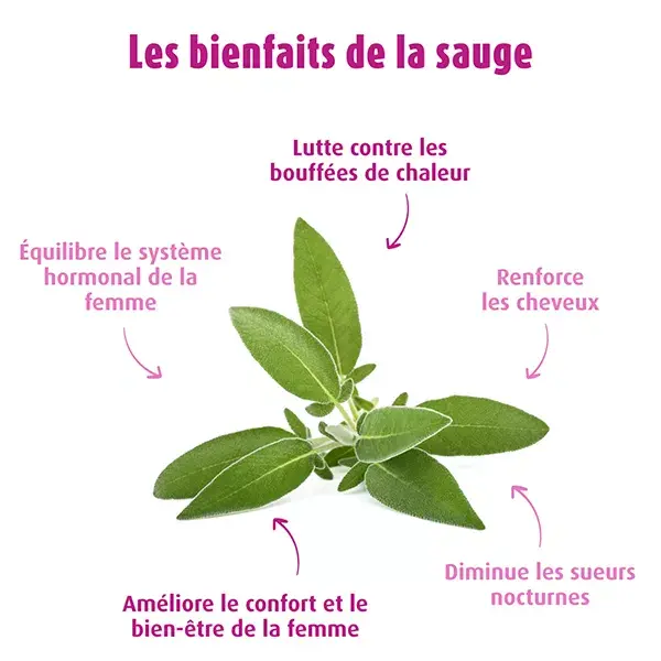 A.Vogel Sálvia Menopausa 50ml
