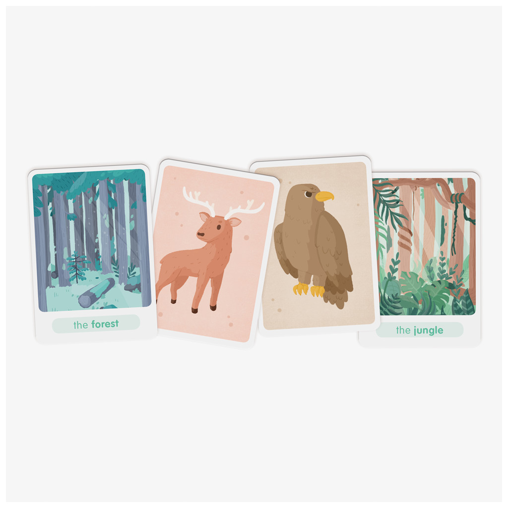 Flash Animals