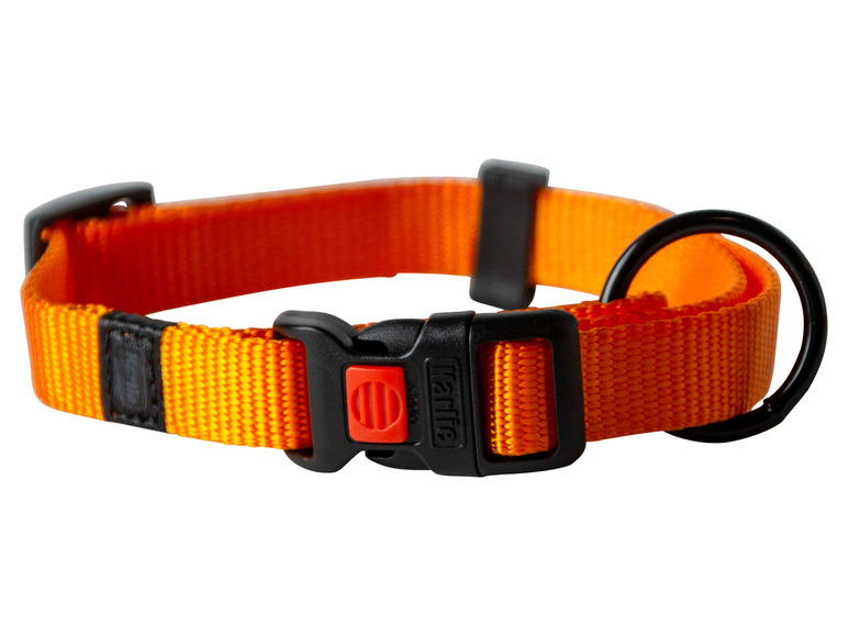 Halsband met lijn