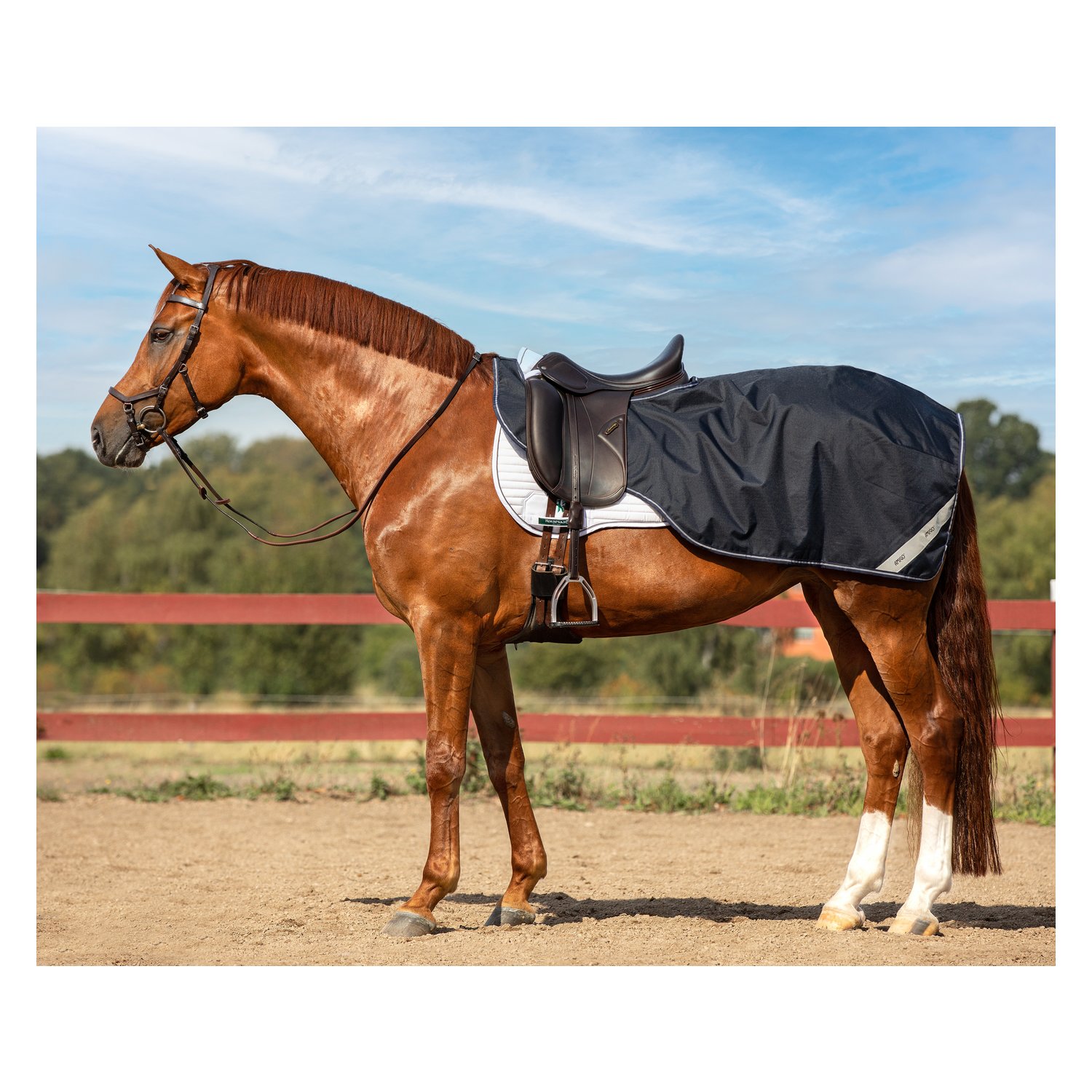 HORSEWARE Ausreitdecke AMIGO Competition Sheet - navy/white