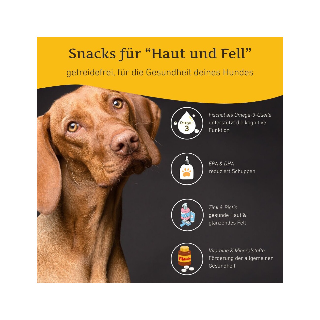 Wildfang Haut und Fell Snacks - getreidefrei - 70 g