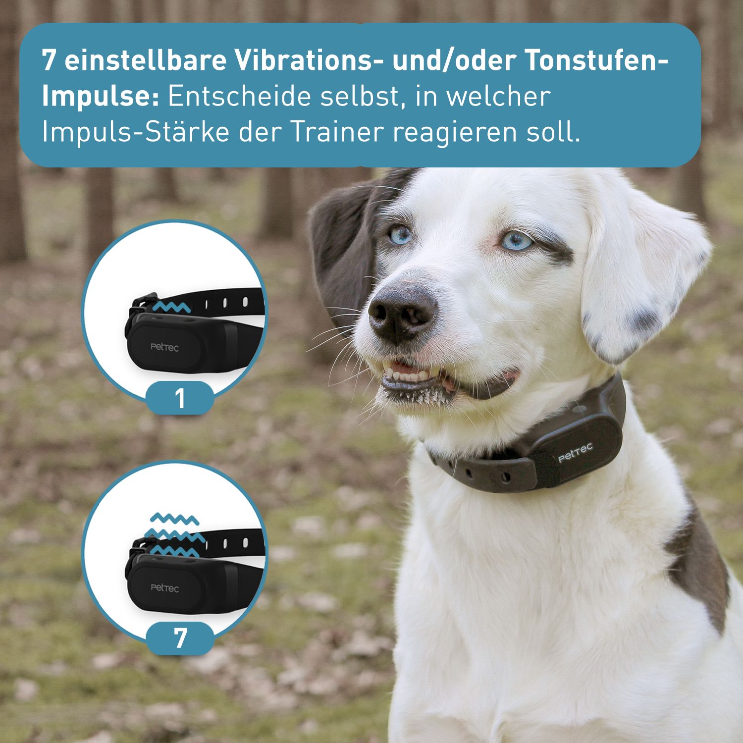 PetTec Antibell Vibra Trainer