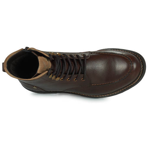 Kaporal - GALDA - Marron