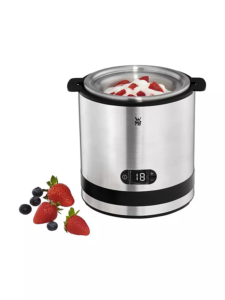 WMF Eismaschine 