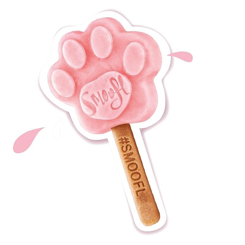 Smoofl Honden IJsmix 160 gram | Aardbei | 13854.3