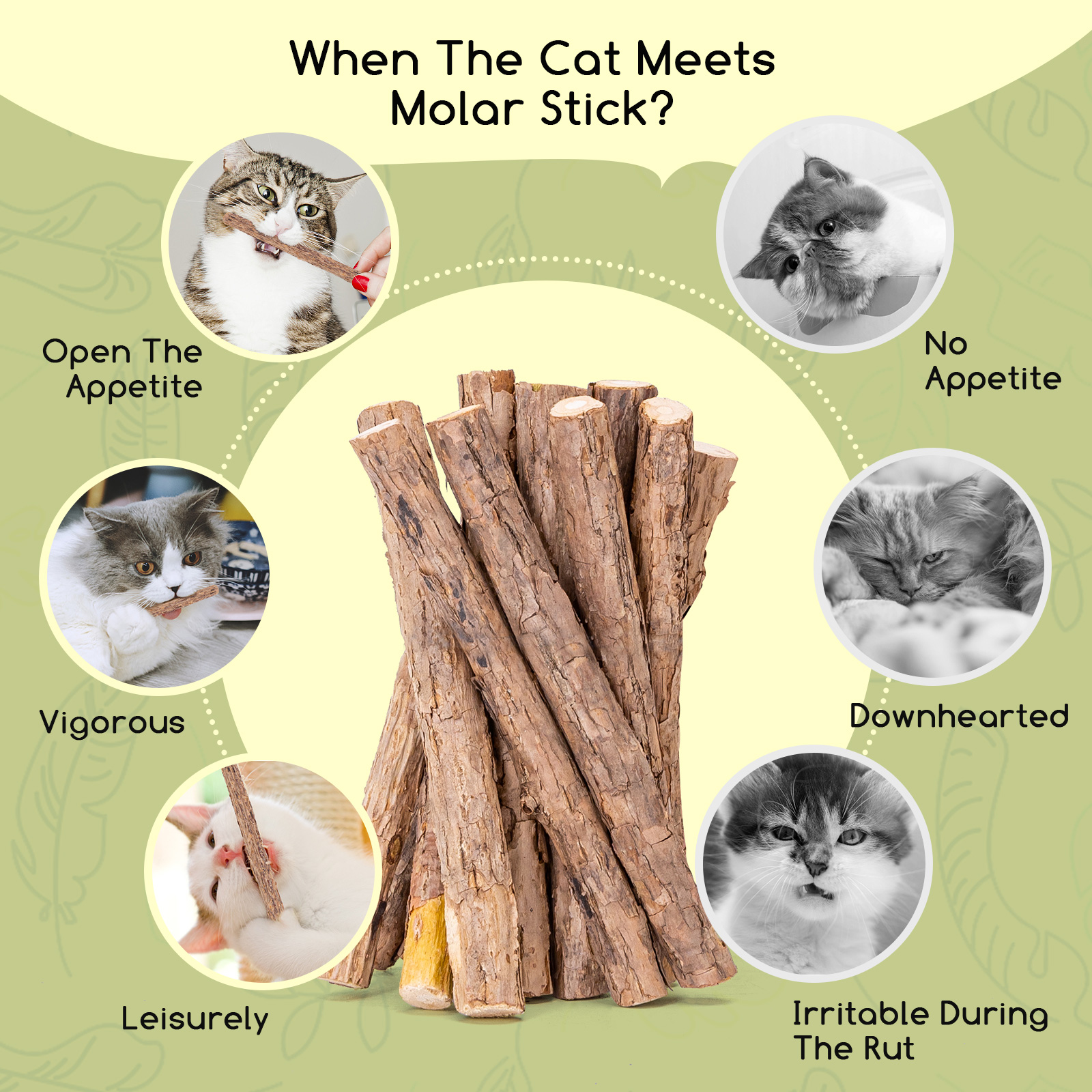Nobleza - Palitos de Catnip para Gatos, Palitos de Catnip, Palitos Mastigáveis para Gatos, Brinquedos para Gatos, Brinquedo com Catnip, para Higiene Dental em Gatos, Contra Mau Hálito, 30 Unidades
