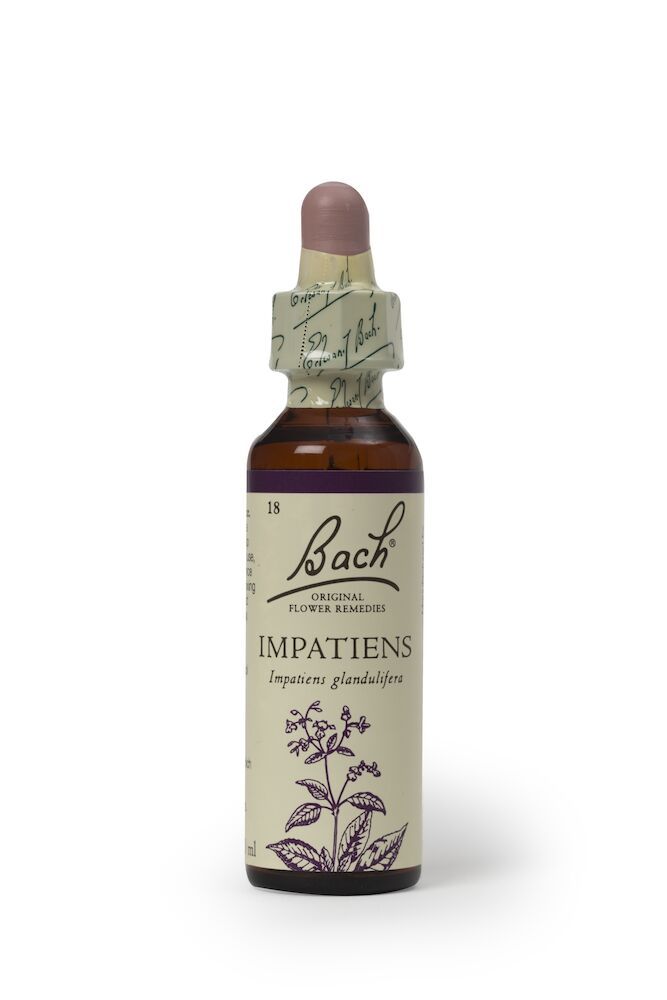 Bach Impatiens