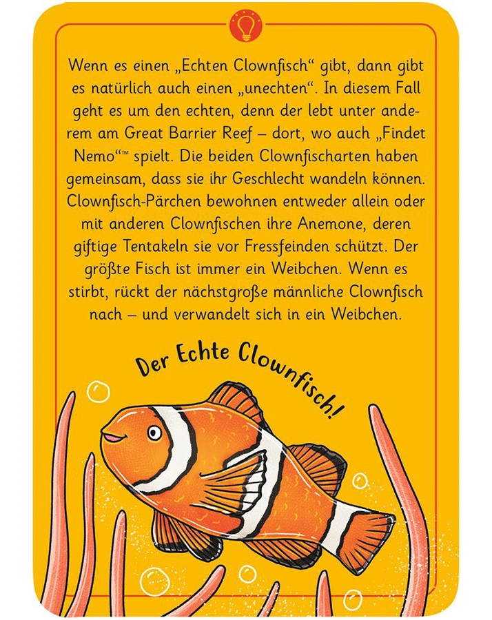 Quizspiel 50 WUNDERSAME TIERRÄTSEL - MEER UND STRAND