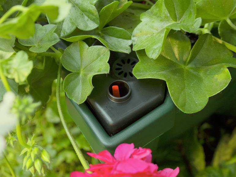 Plantenbak met wielen