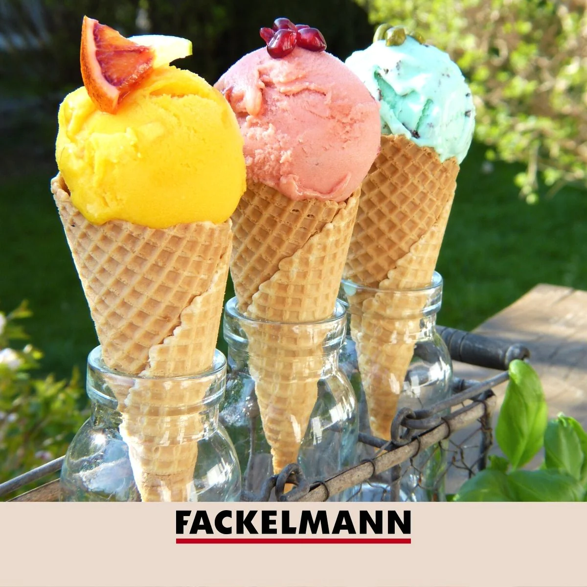 Cuillère à glace avec fonction éjection 21 cm Basic Fackelmann