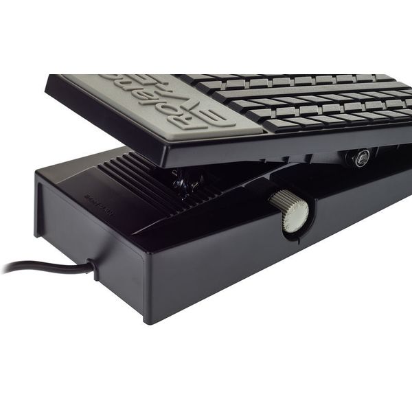 Roland EV 5 Expression Pedal