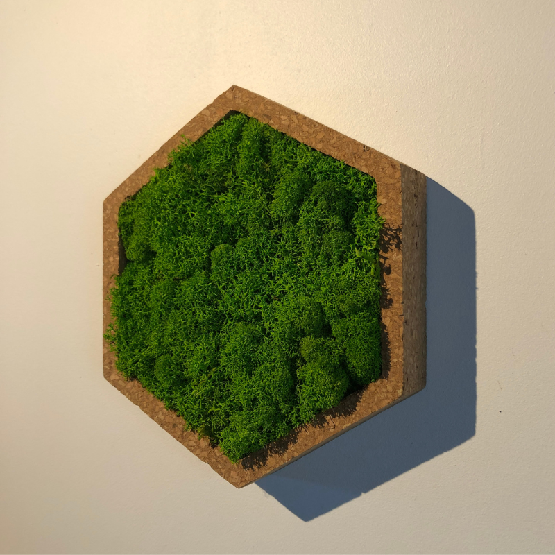 Stab lichen hexagonal vert 16 x 16 cm