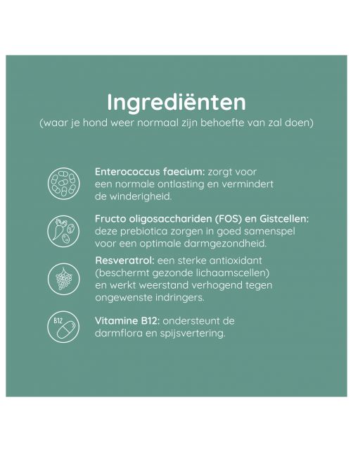 Greenfields Probiotics+ - Voedingssupplement - 60 caps