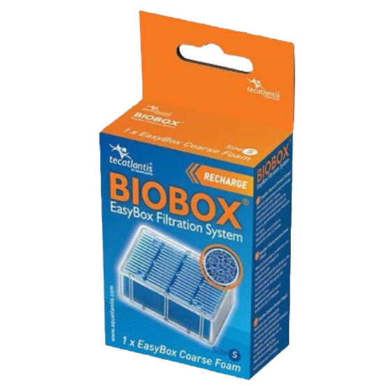 Easybox mousse large s : plastique mousse l. 7 x l. 4 x h. 10 cm
