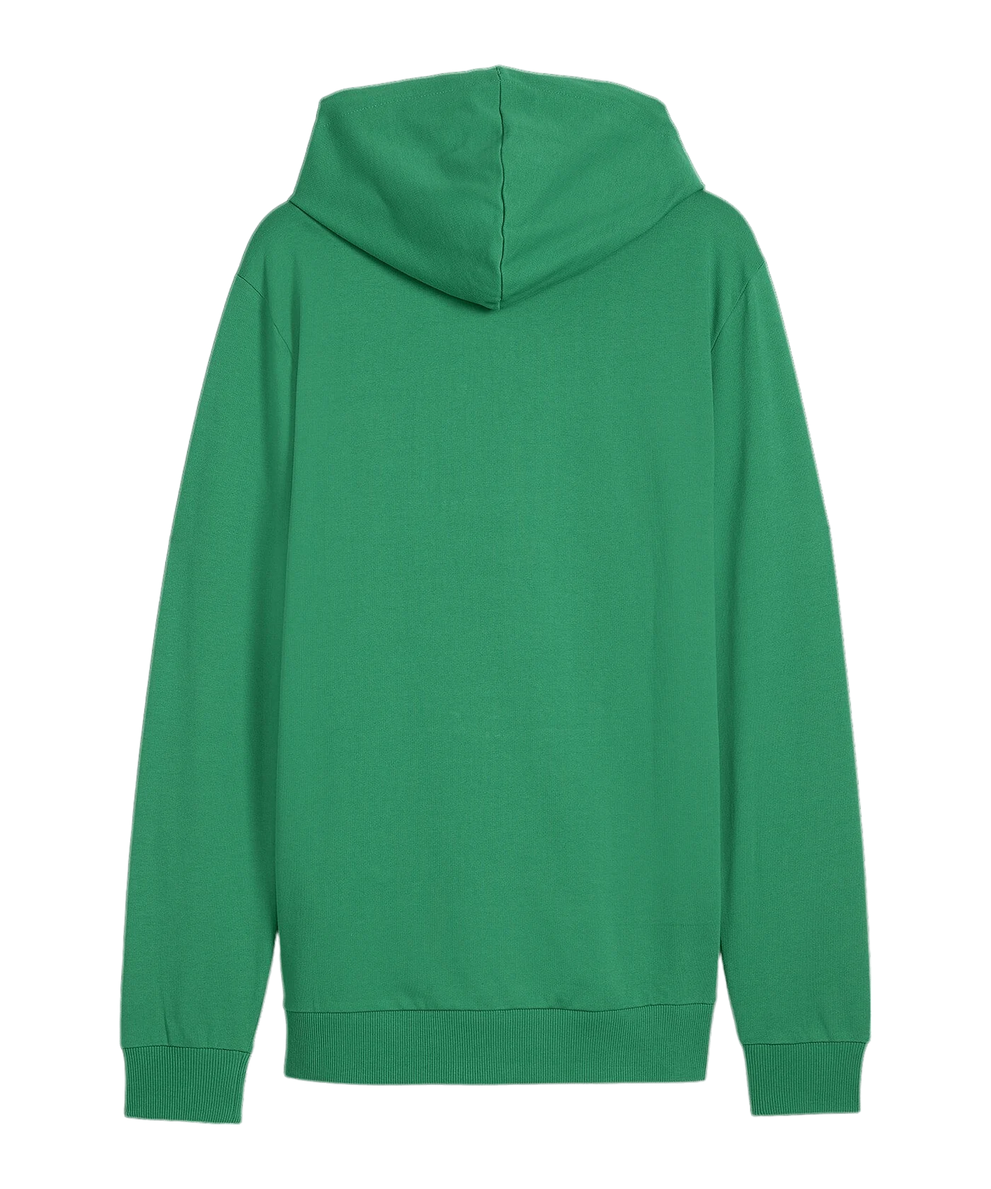 PUMA teamGOAL Casuals hooded jacket green F05