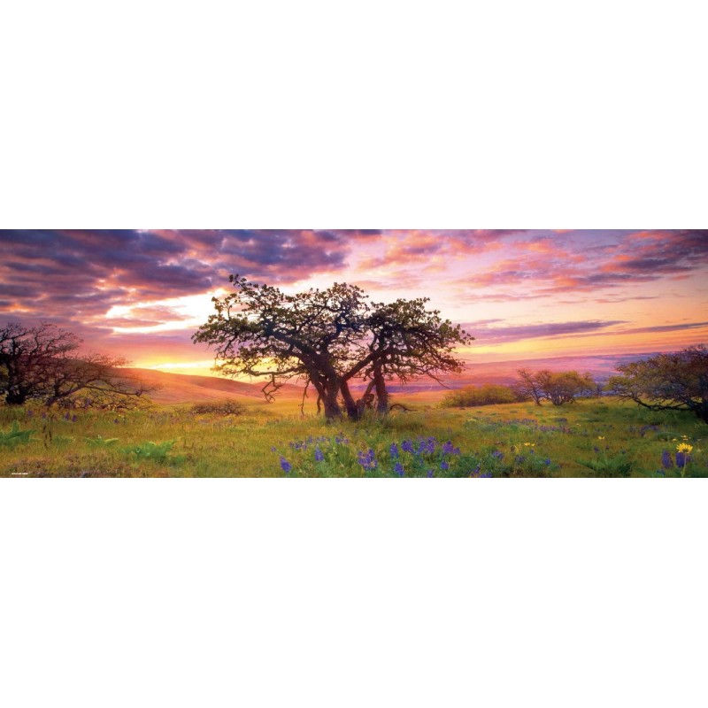 Puzzle - Oak Tree - 2000 pièces